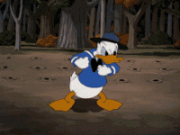 IMG_3960.gif