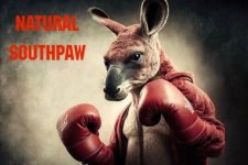 NATURAL SOUTPAW.jpg