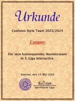 Urkunde Namensteam.jpg Urkunde Namensteam.jpg