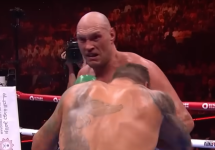 tf1.png