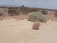 IMG_6332.gif IMG_6332.gif