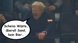 KATAR - KAHN FLIPPT AUS.jpg