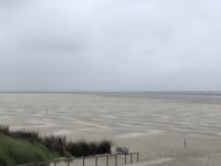 IMG_6518.jpeg