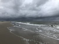 IMG_6544.jpeg IMG_6544.jpeg