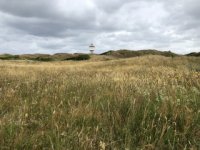 IMG_6587.jpeg IMG_6587.jpeg