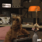 1721565839578.gif
