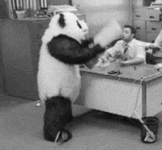1721568772679.gif 1721568772679.gif