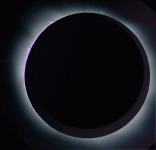 1721570432787.gif