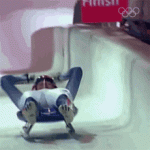 IMG_5260.gif IMG_5260.gif