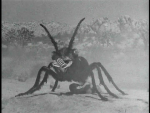 5719 5719