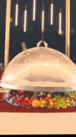 IMG_5296.gif IMG_5296.gif