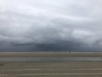 IMG_6667.jpeg