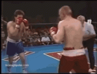 boxing-fight.gif