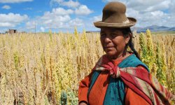 Bolivian_Farmer_resized.jpg