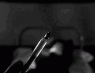 IMG_5892.gif IMG_5892.gif