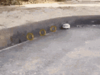 IMG_5910.gif IMG_5910.gif