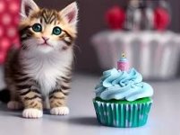 gato.jpg gato.jpg