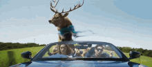 IMG_6198.gif IMG_6198.gif