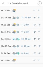 Screenshot_20241218_195049_Pflotsh ECMWF.jpg