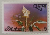 Bhutan9.jpg Bhutan9.jpg