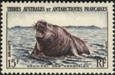 Antarctic 2.jpg Antarctic 2.jpg