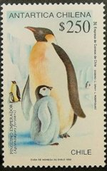 Amtarctic 3.jpg Amtarctic 3.jpg