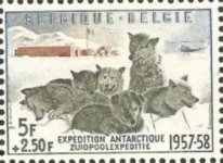 Antarctica197.jpg Antarctica197.jpg