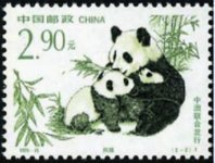 China9.jpg China9.jpg
