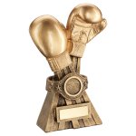 0105257_knockout-gold-boxing-award.jpeg