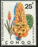 Congo13.jpg Congo13.jpg