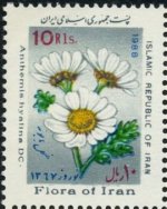 Iran7.jpg Iran7.jpg