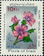Iran10.jpg Iran10.jpg