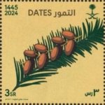 Saudi5.jpg Saudi5.jpg
