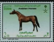 Saudi43.jpg Saudi43.jpg
