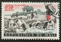 Mali6co.jpg Mali6co.jpg