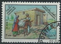 Afghanistan555.jpg Afghanistan555.jpg