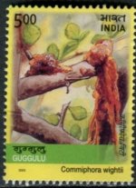 India6.jpg India6.jpg