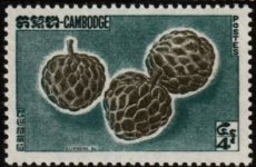 Kambodscha888.jpg Kambodscha888.jpg