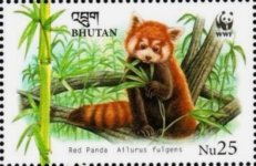 Bhutan5556.jpg Bhutan5556.jpg