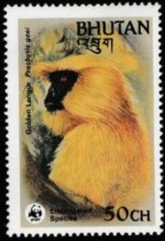 Bhutan8.jpg Bhutan8.jpg
