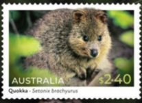 Australia 88.jpg Australia 88.jpg