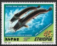 Aethiopien316.jpg Aethiopien316.jpg