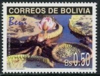 Bolivien303.jpg