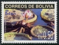Bolivien303.jpg Bolivien303.jpg