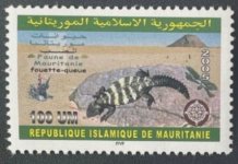 Maur4.jpg Maur4.jpg