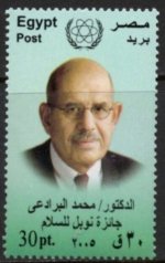 Mohamed ElBaradeiEgypt4.jpg