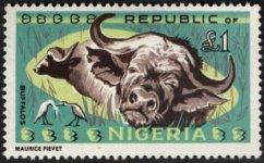 Nigeria660.jpg