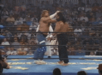 IMG_6549.gif IMG_6549.gif
