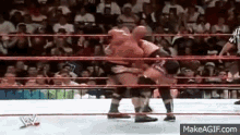 IMG_6575.gif