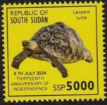 South sudan06.jpg